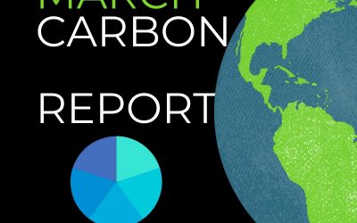 Carbon Report March 2019