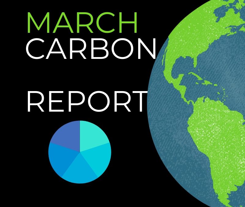 Carbon Report March 2019