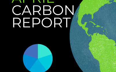 Carbon Report April 2019