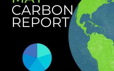 Carbon Report May 2019